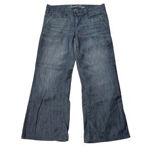 American Eagle Outfitters Light Blue Denim Jeans